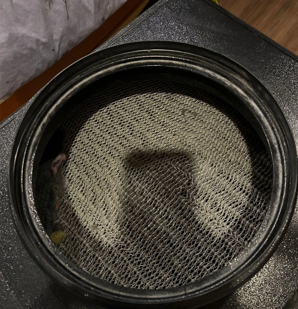 Air-Duct-Services-Near-Me-now-call